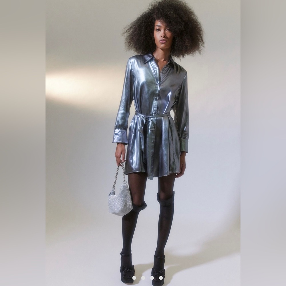 silver button down dress
